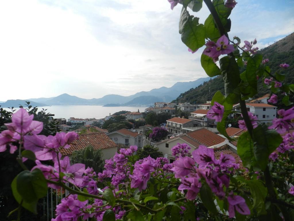 Apartments Aleksandar Sveti Stefan Zewnętrze zdjęcie